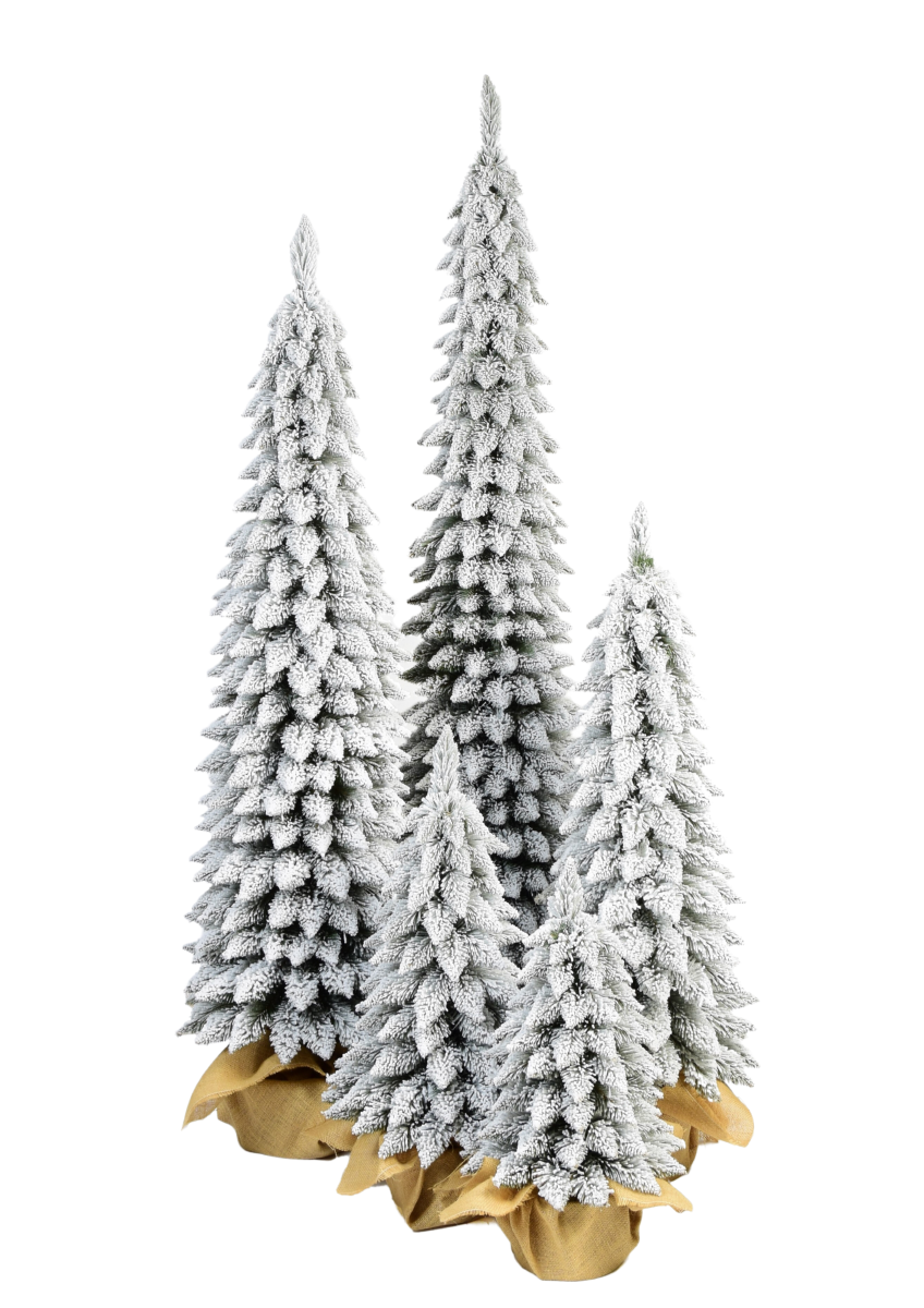 Kompozycja 5 choinek różnych rozmiarów.